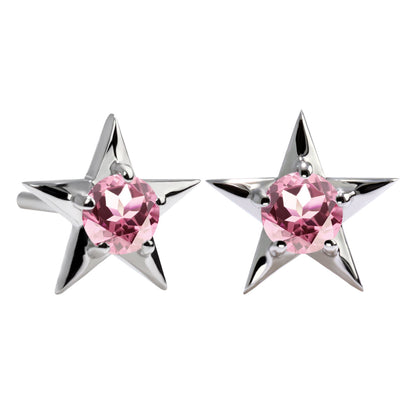 誕生石 ピアス レディース 両耳セット 星モチーフ 一粒ピアス シルバー 10金 18金 プラチナ 天然石 スタッドピアス スター シンプル 可愛い 普段使い (品番 mp-0066-l)