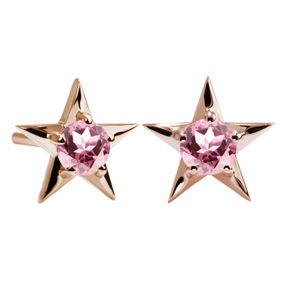 誕生石 ピアス レディース 両耳セット 星モチーフ 一粒ピアス シルバー 10金 18金 プラチナ 天然石 スタッドピアス スター シンプル 可愛い 普段使い (品番 mp-0066-l)