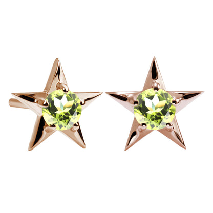 誕生石 ピアス レディース 両耳セット 星モチーフ 一粒ピアス シルバー 10金 18金 プラチナ 天然石 スタッドピアス スター シンプル 可愛い 普段使い (品番 mp-0066-l)