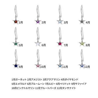 メンズ ピアス フック 10金 一粒 星モチーフ 選べる12石 誕生石 片耳1個 天然石 10k 18k pt900 sv925 スター 推し活 星型 大人カジュアル ファッション (品番 mp-0066-b-m)