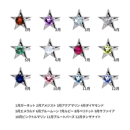 誕生石 ピアス レディース 両耳セット 星モチーフ 一粒ピアス シルバー 10金 18金 プラチナ 天然石 スタッドピアス スター シンプル 可愛い 普段使い (品番 mp-0066-l)