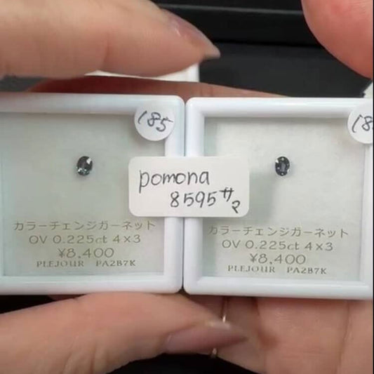 【 pomona8595様専用】カラーチェンジガーネット